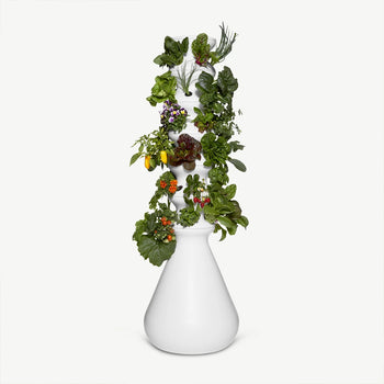 Lettuce Grow Farmstand Image