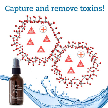Pure Body Extra Strength Zeolite (A Safe, Effective Toxin Binder) Image