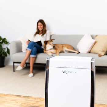 AirDoctor 3000 — Indoor Air Purifier for Normal-Sized Rooms Image